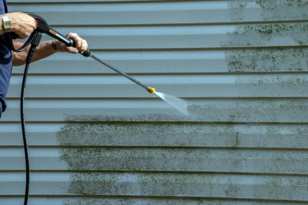 Best Solar Panel Cleaning  in Mapleton, UT